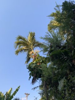 looking up March 2020